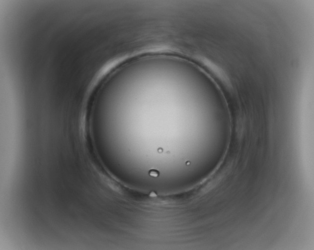 X0000116001270200911251053