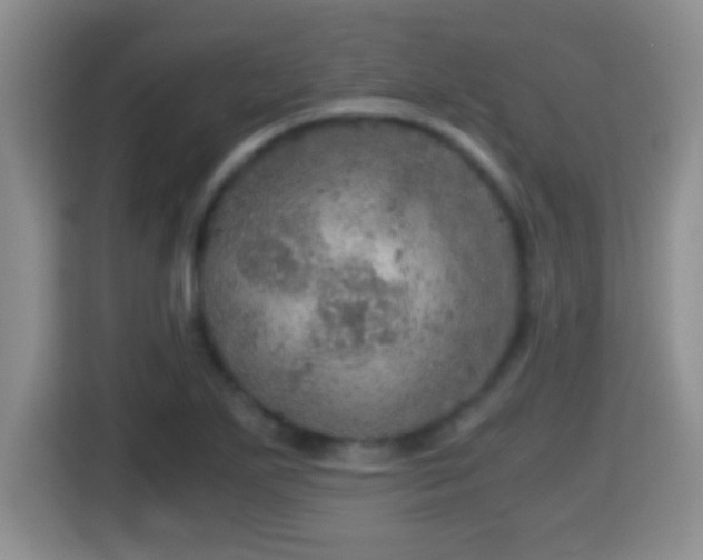 X0000116001271200911251053