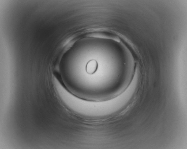 X0000116001273200911251053