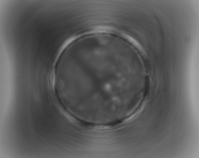 X0000116001275200911251053