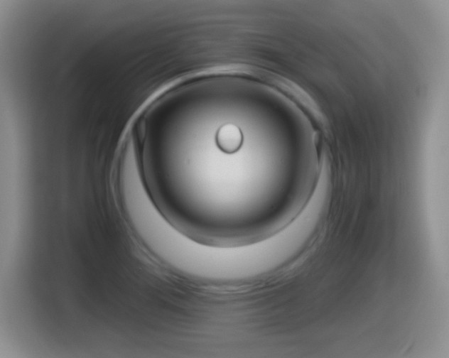 X0000116001276200911251053