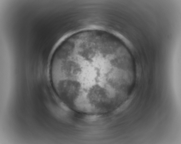 X0000116001278200911251053