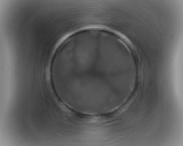 X0000116001279200911251053