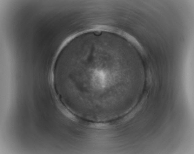 X0000116001280200911251053