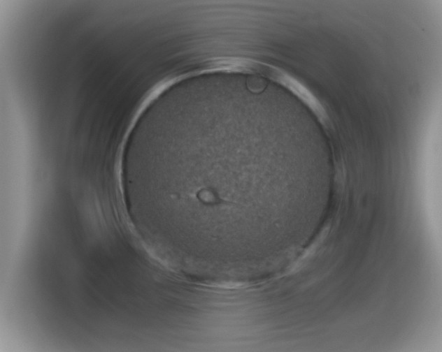 X0000116001283200911251053