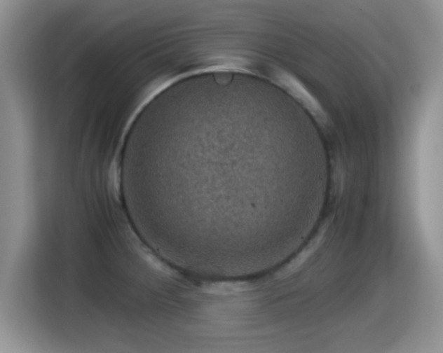 X0000116001284200911251053