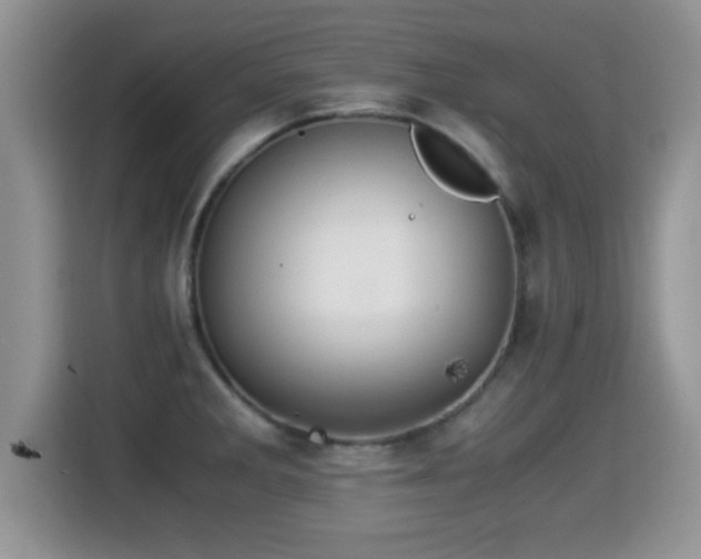 X0000116001285200911251053