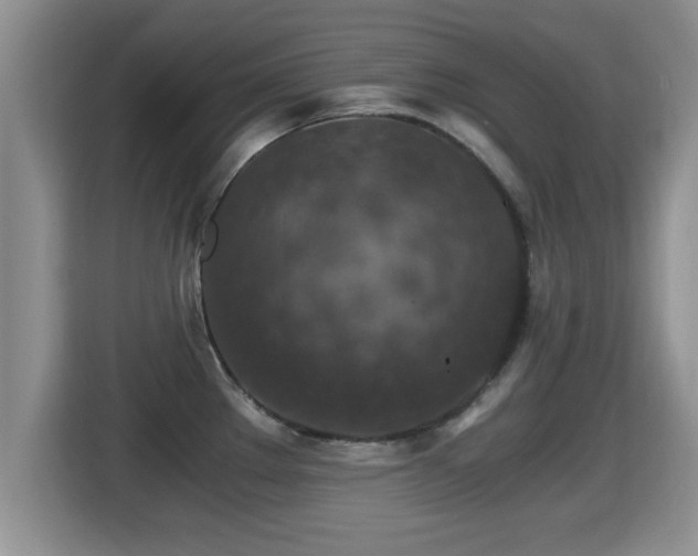 X0000116001289200911251052