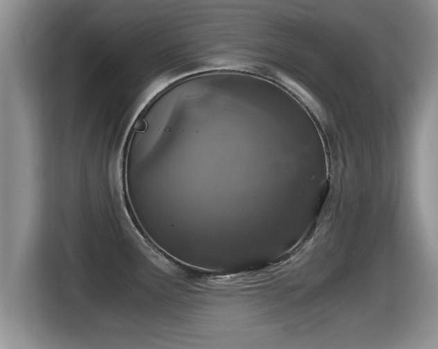 X0000116001291200911251052