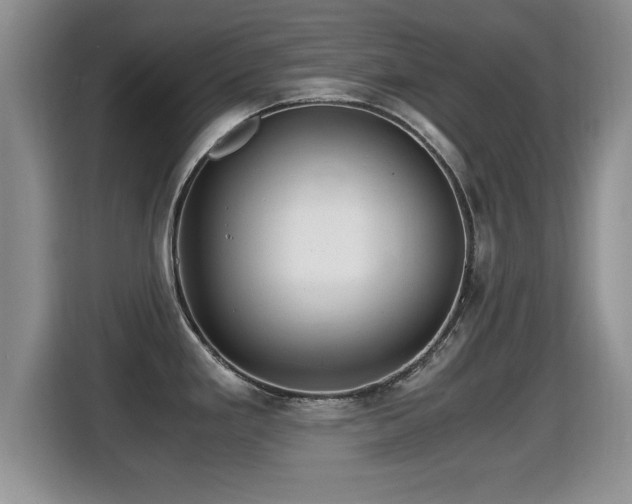 X0000116001293200911251052