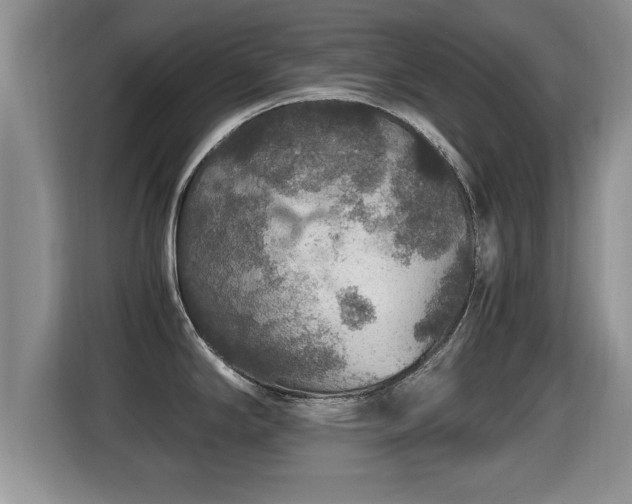 X0000116001294200911251052