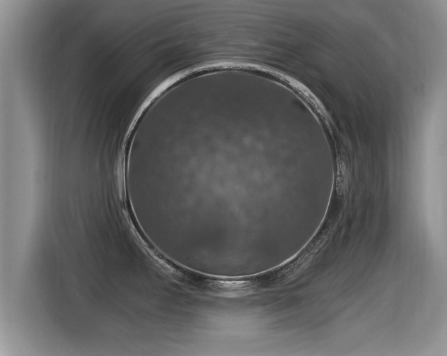 X0000116001295200911251052