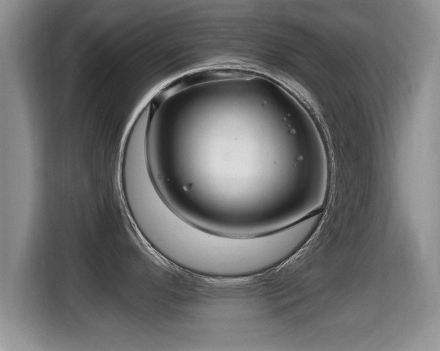 X0000116001296200911251052