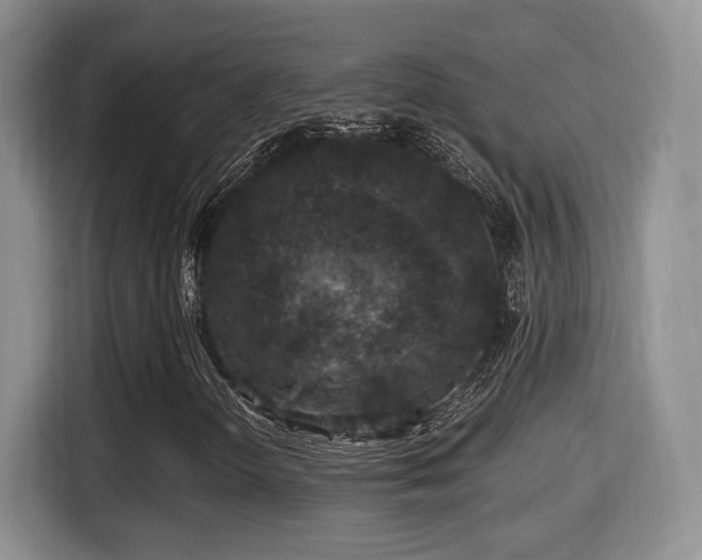 X0000116001298200911251052