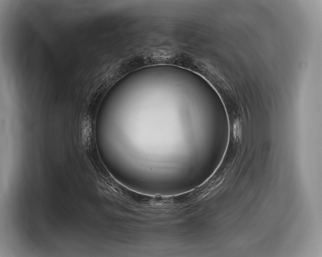 X0000116001299200911251052