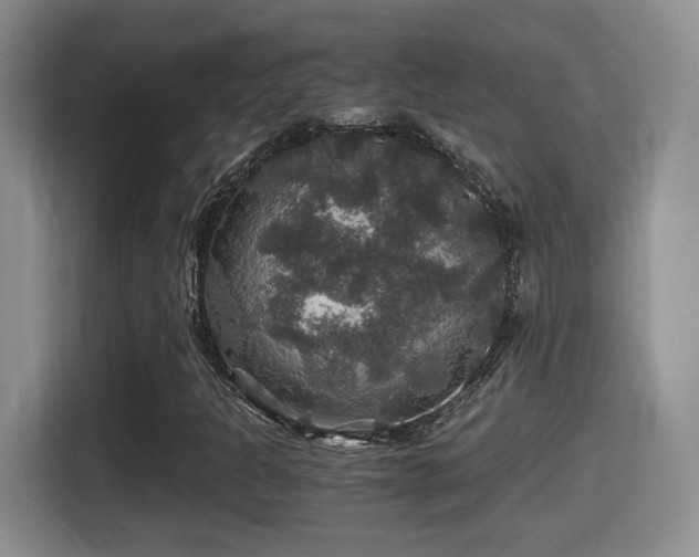 X0000116001301200911251052