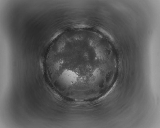 X0000116001305200911251052