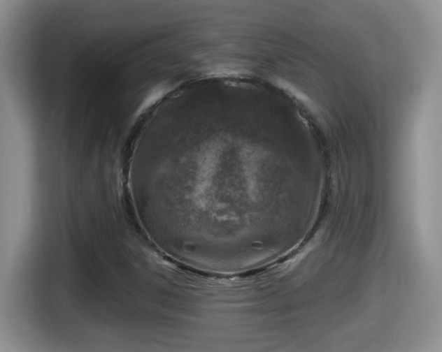 X0000116001306200911251052