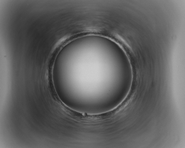 X0000116001307200911251052