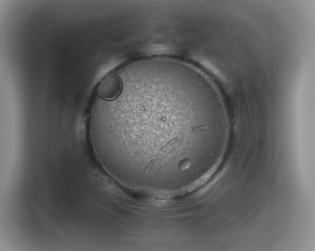 X0000116001309200911251052