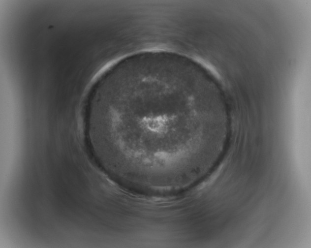 X0000116001311200911251052