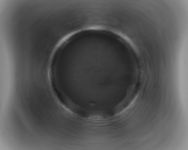 X0000116001319200911251052