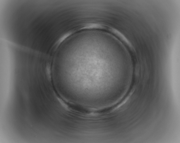 X0000116001321200911251052