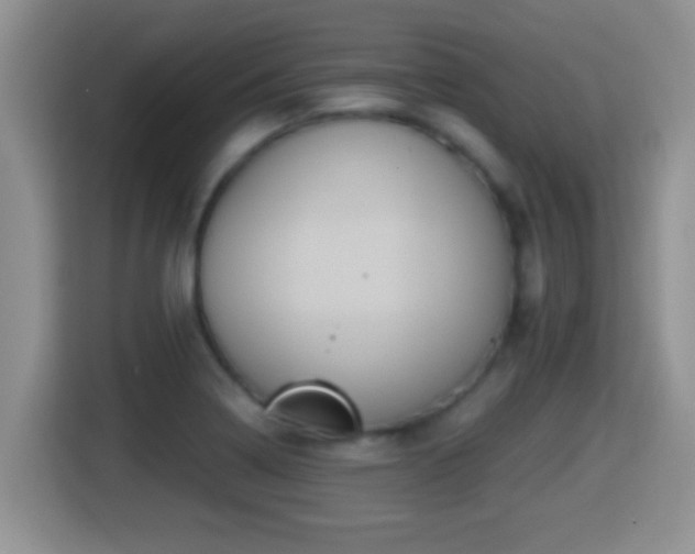 X0000116001322200911251052