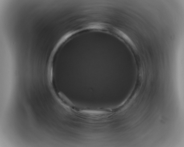 X0000116001323200911251052