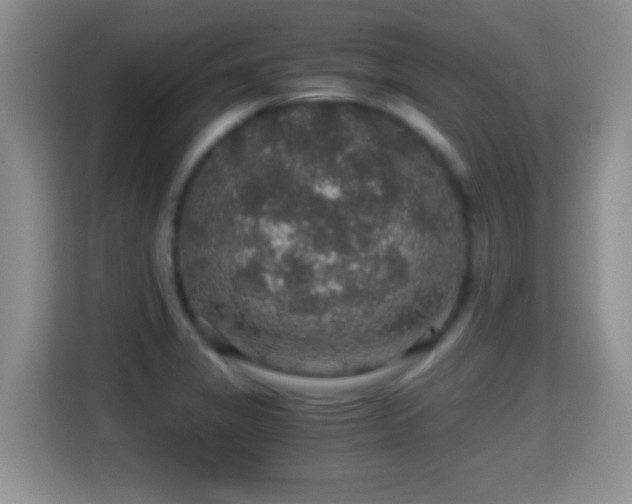 X0000116001325200911251052