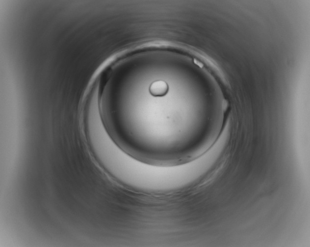 X0000116001326200911251052