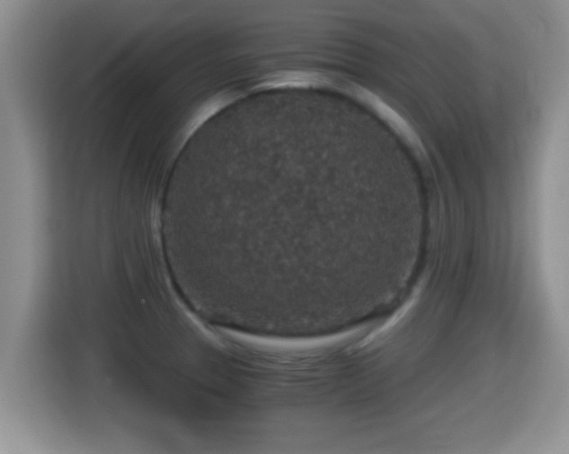 X0000116001329200911251052