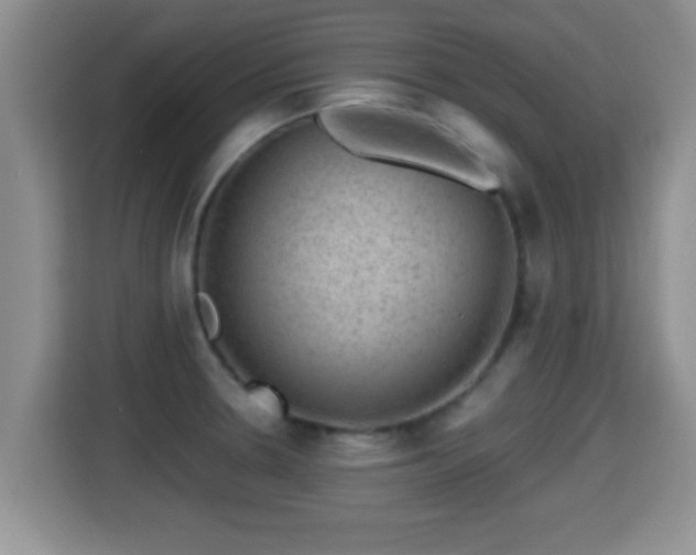 X0000116001330200911251052