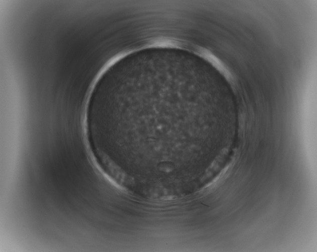 X0000116001331200911251052