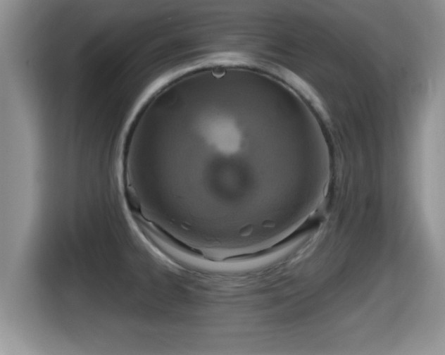 X0000116001334200911251052