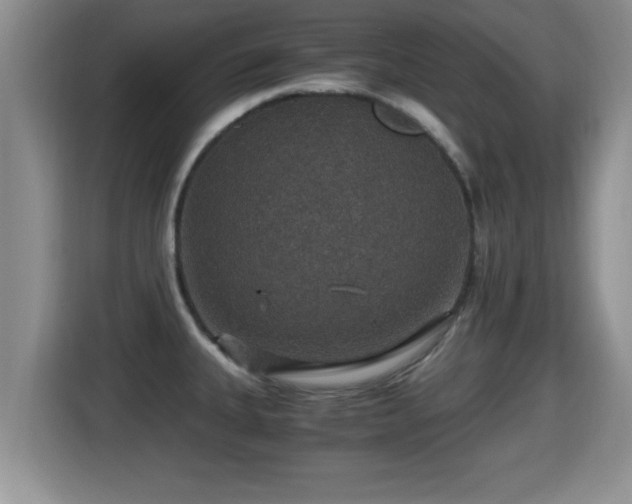 X0000116001335200911251052