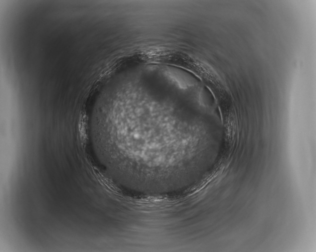 X0000116001346200911251052