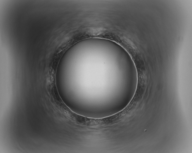 X0000116001349200911251052