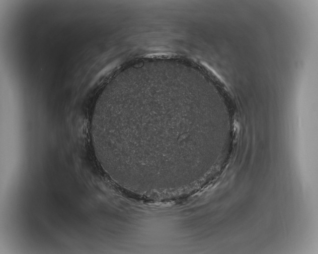 X0000116001351200911251052