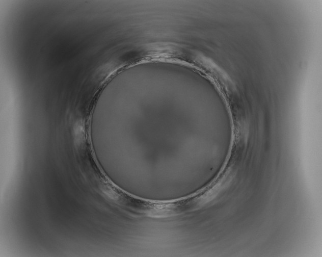 X0000116001353200911251052