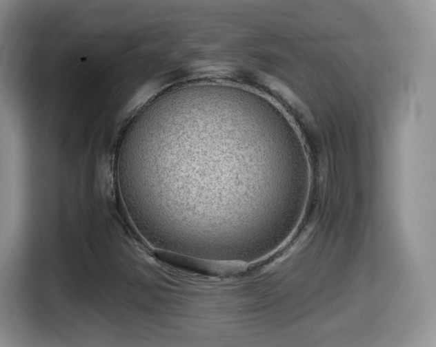 X0000116001354200911251052