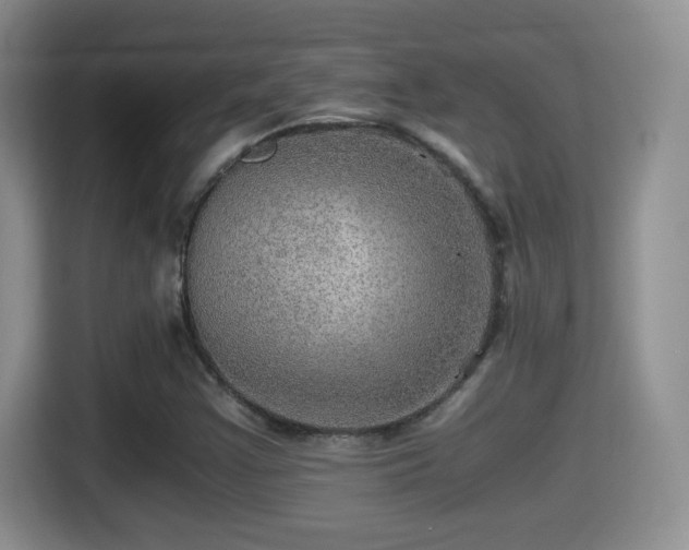 X0000116001355200911251052