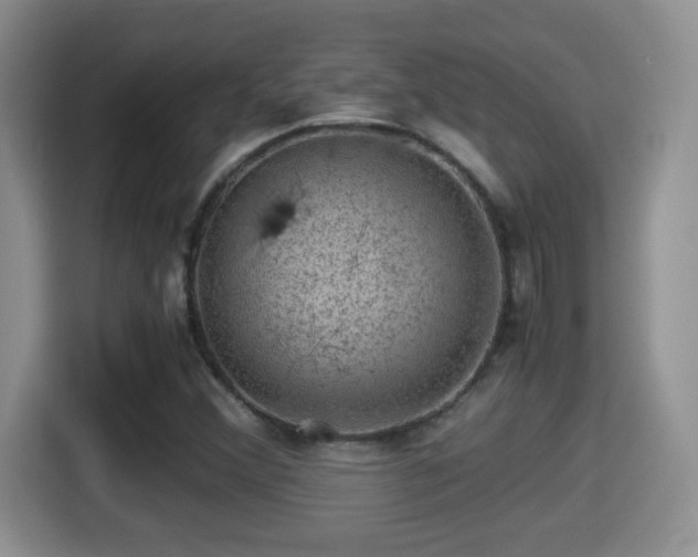 X0000116001356200911251052