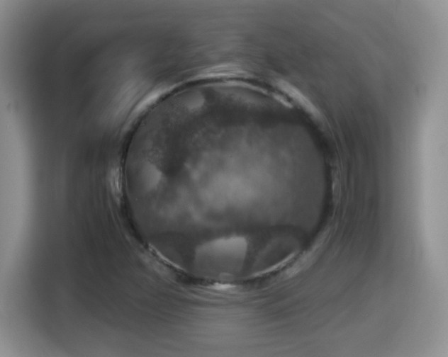 X0000116001358200911251052