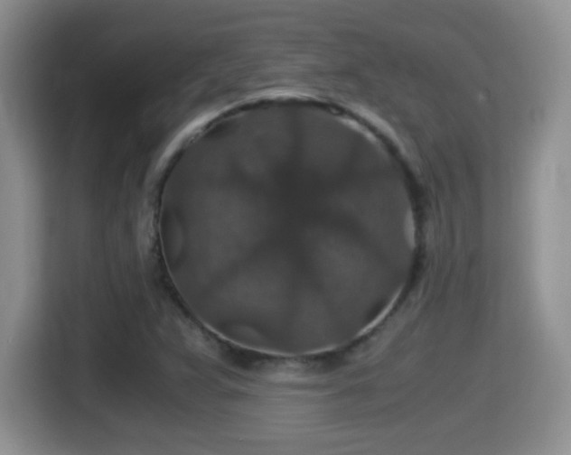 X0000116001359200911251052