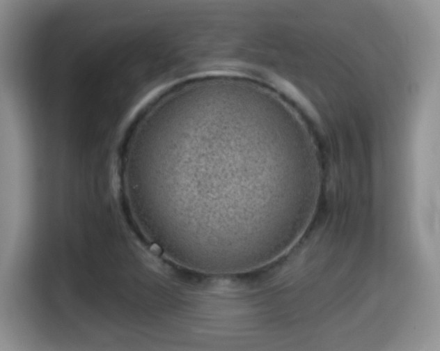 X0000116001360200911251052