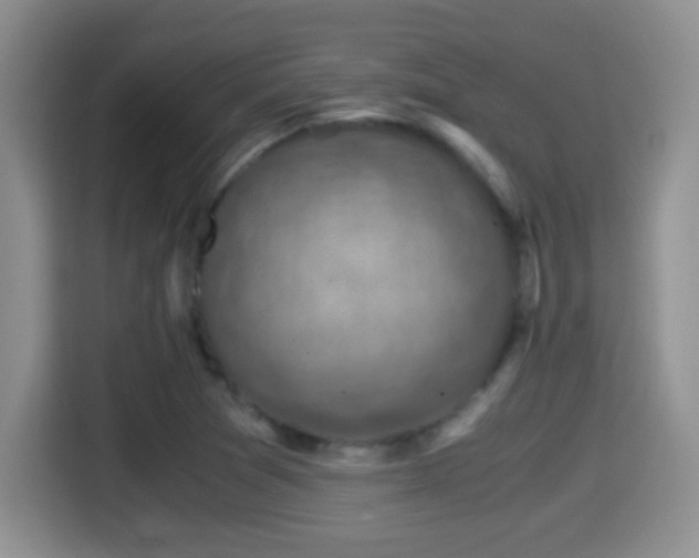 X0000116001361200911251052