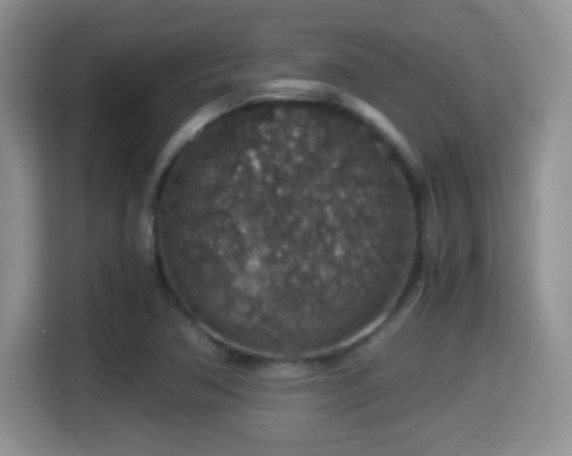 X0000116001362200911251052