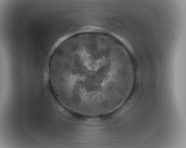 X0000116001363200911251052