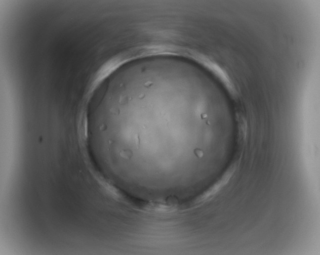 X0000116001365200911251051